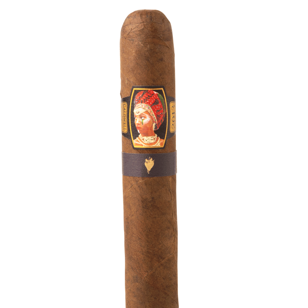 Forbidden Fruit Oscuro, , cigars